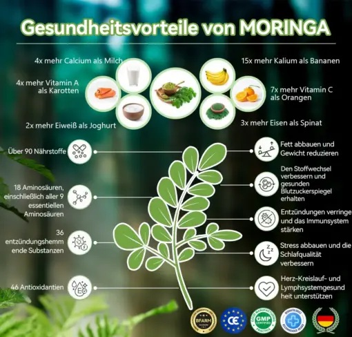 HHVB® GLP-1 Moringa Schlankheits- und Gesundheitssteigerungs-Tropfen
